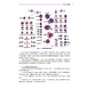 血细胞形态学案例分析 关明主编 本书系血细胞形态学参考书 内容包括血细胞概述及红细胞 白细胞和血小板相关案例86例 科学出版社 商品缩略图4