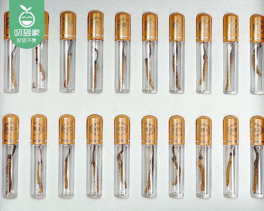 西藏那曲冬虫夏草礼盒（干货）/1盒（20条，共4-4.2g）生产日期：25年9月补单专用 商品图2