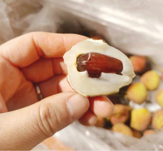 桂花香荔枝半斤 商品图2