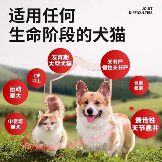 安替诺安它诺Antinol Rapid关节心脏营养补充剂 软骨素犬猫通用 医院同款 商品图3