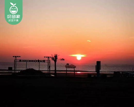 漳州漳浦|吾山吾海多风格滨海大/双床房1间/1晚（赠送2大2火山地质公园门票）【叼生活】 商品图3