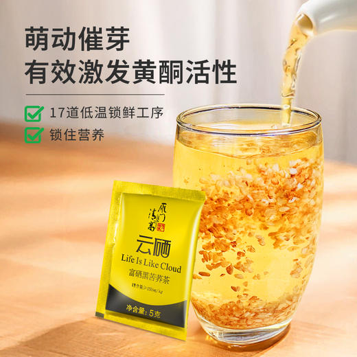 雁门清高  云硒富硒黑苦荞茶120g盒装 商品图2