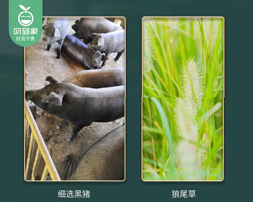 龙岩武平散养黑猪·猪心（400g±50g/颗） 商品图4