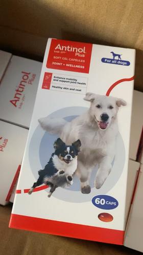 安替诺安它诺Antinol Rapid关节心脏营养补充剂 软骨素犬猫通用 医院同款