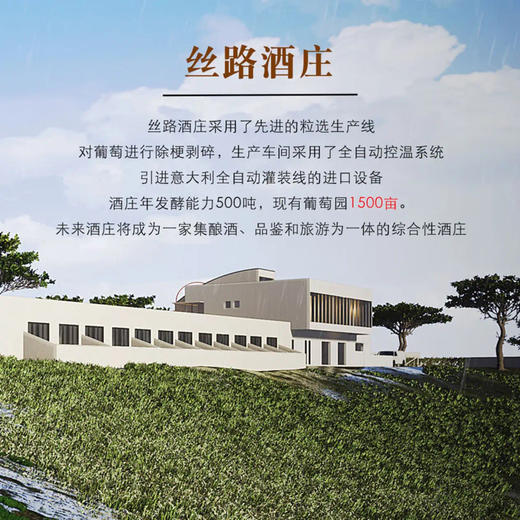 丝路酒庄新疆伊犁河谷产区女士半甜型桃红葡萄酒情人节婚宴礼盒装送礼 商品图3