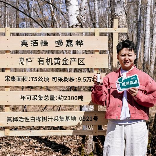 【斌哥优选】嘉桦浓缩白桦树汁,斌哥伊春溯源今年新汁。行业开创者，标准制定者，品质领航者。给大家带来优中选优的桦树汁。60多种营养物质。 商品图0