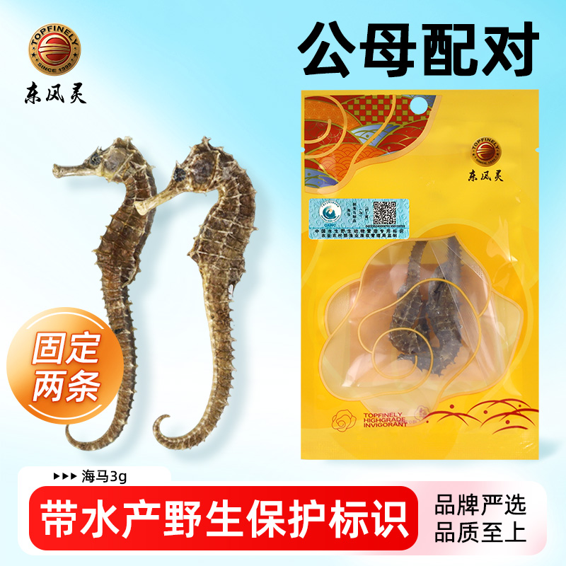 【新客专享价】福建刺海马公母足克配对 肉眼可辨育籽囊 泡酒煲汤