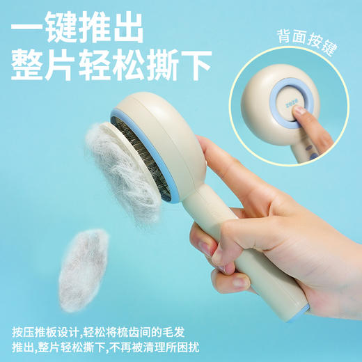 zeze圈圈宠物喷雾梳-B（包邮） 商品图2