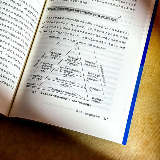 未来学习研究蓝皮书 2025 洞察学习新趋势 走进教育新未来 杨振峰 商品图13