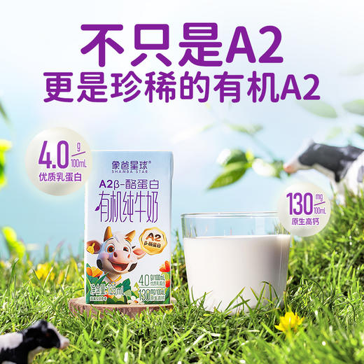 【A2β-酪蛋白有机纯牛奶】象爸星球A2有机牛奶4.0g优质蛋白130mg高钙儿童早餐奶120ml  商品图0