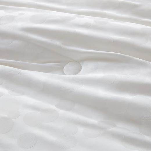 梦洁  德国芯进口抗菌四季被：金海 商品图3