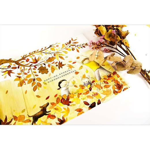 【独秀书香卡】魔法象·图画书王国  我们的一年：澳大利亚的春夏秋冬  2~4岁、4~8岁 儿童故事 儿童绘本 商品图5