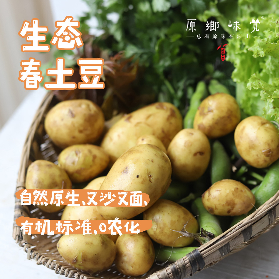 生态春土豆/洋芋/马铃薯（农场直发-顺丰包邮）| 5斤/箱，成都郫都区基地，【原乡农场，自产自销】