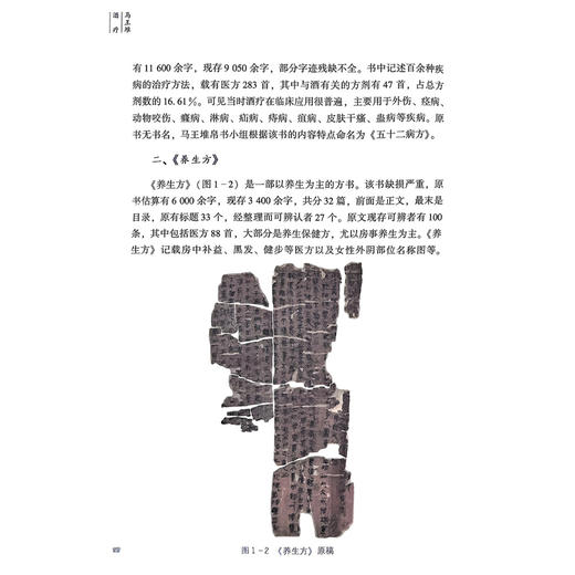 马王堆酒疗 让马王堆医学文化活起来丛书 胡宗仁 朱明芳 主编 马王堆酒疗的学术传承  9787571030315 湖南科学技术出版社 商品图4