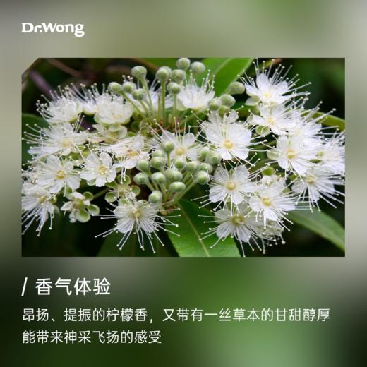 柠檬香桃木 单方精油  商品图1