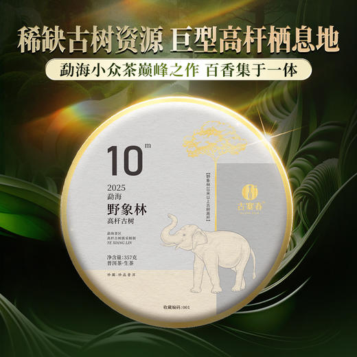 【野象林高杆】勐海野象林稀缺古树资源 巨型高杆的栖息地 勐海国有林里的秘境 身处中老缅交界线处 数量稀少 357g/饼 商品图0