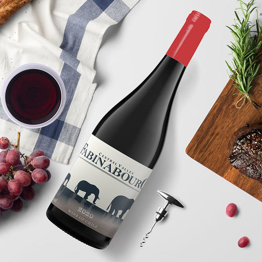 智利进口法比纳古堡神像干红葡萄酒750ml*6瓶 商品图2