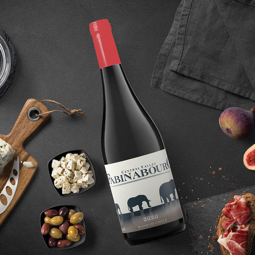 智利进口法比纳古堡神像干红葡萄酒750ml*6瓶 商品图1