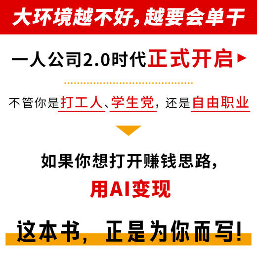 AI新个体：用DeepSeek重塑一人公司 一人公司2.0鱼堂主阿猫著打造个人IP单干1000个铁粉自媒体变现 商品图1