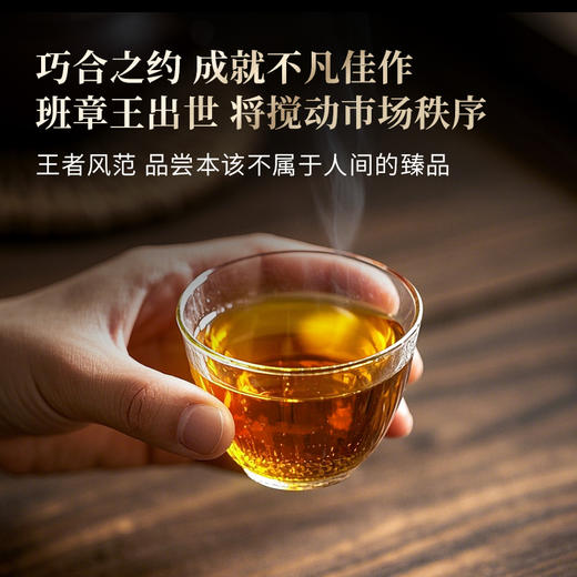 【班章王】近千年树龄高杆古树茶，炸裂来袭！与老班章同一山脉，古寨春独家资源片区 357克/饼 5饼/提 商品图4