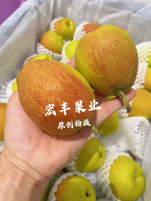 宏丰精选，正宗库尔勒香梨，口感脆甜，水份足，活动价9.9元一斤 商品图14