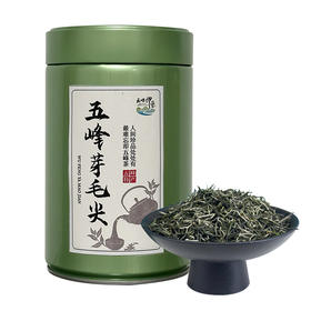 2025年新茶五峰印象明前头采芽毛尖五峰芽毛尖100g罐装