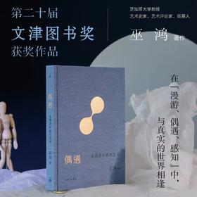 偶遇：在漫游中感知艺术 巫鸿 著（第20届文津奖获奖图书）