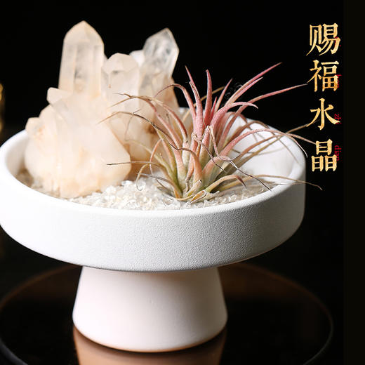 【消磁净化】灵机生活馆水晶净化消磁高脚水晶碎石盘摆件 商品图1