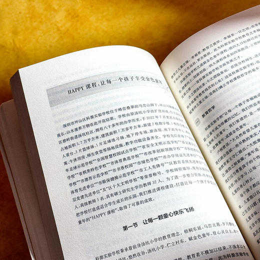 高品质学校课程体系 课程治理现代化丛书 王琦 特色课程建设 商品图12