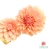 大丽花-明亮前橙 商品缩略图0