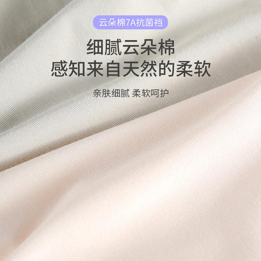 樱姿娜小卫士亲亲裤WL87008，50支云朵棉面料，5条礼盒装 商品图3