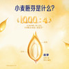 金龙鱼即食小麦胚芽30克*16袋 多重营养 商品缩略图3
