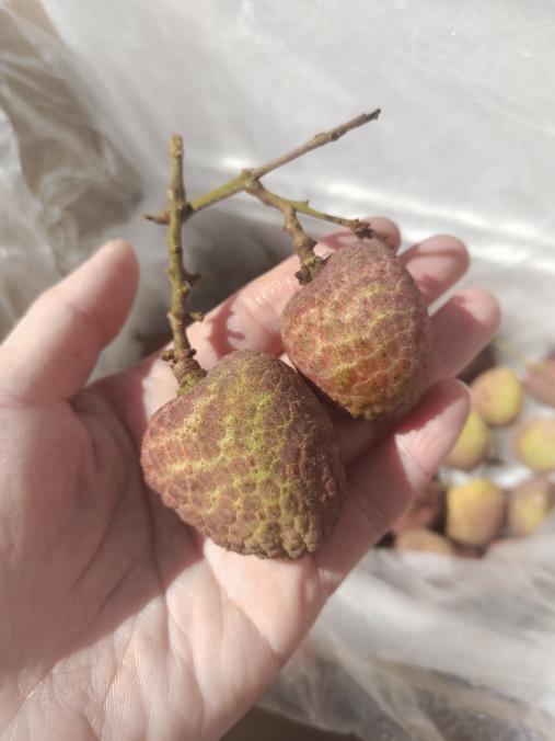 桂花香荔枝半斤 商品图1