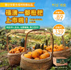 助农项目·一级果⼀都枇杷5斤仅售89元 商品缩略图0