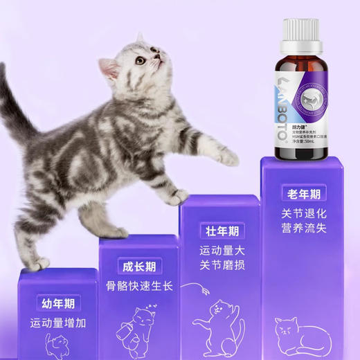 lanboto鲨鱼软骨素口服液猫咪补钙宠物狗狗营养金毛泰迪折耳猫50ml 商品图3