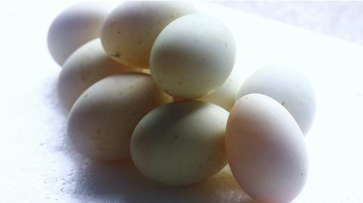 散养鸭蛋（10个/盒） 商品图1