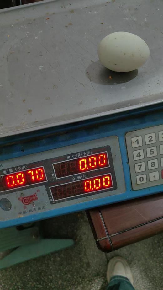 散养鸭蛋（10个/盒） 商品图5