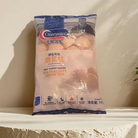 北极清水加拿大产 野生冷冻扇贝柱 1kg/袋