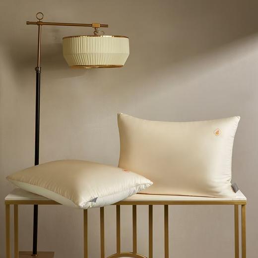 梦洁  珍丝臻柔大豆纤维对枕：福禄连连【48*68*1对】 商品图0