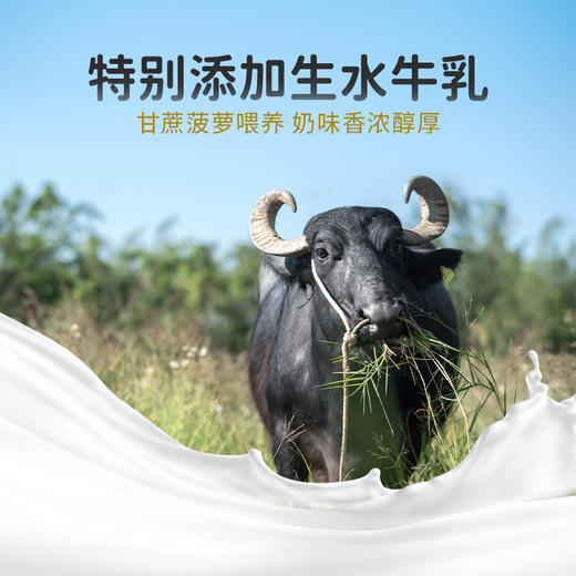 皇氏水牛 饭不着爆浆燕麦酸奶 150g*10 黄桃味  桑葚草莓味 商品图6