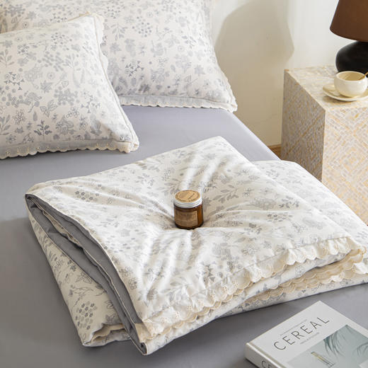 【5折购】A类双层纱大豆夏凉被空调被夏被四件套 商品图8