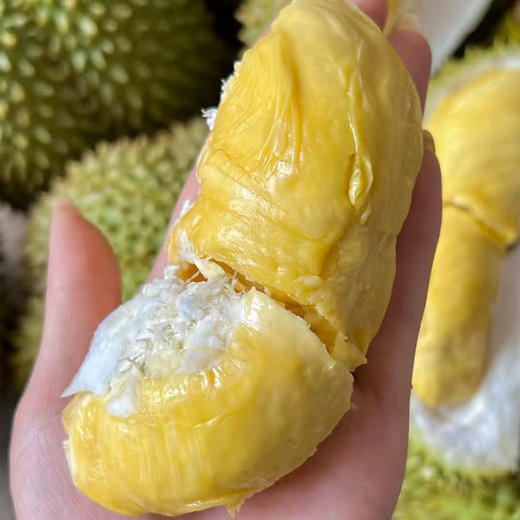 【整果销售】甲伦榴莲 500g（超重部分补差价） 商品图3