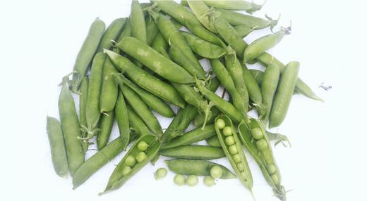 新鲜带壳豌豆500g 商品图2