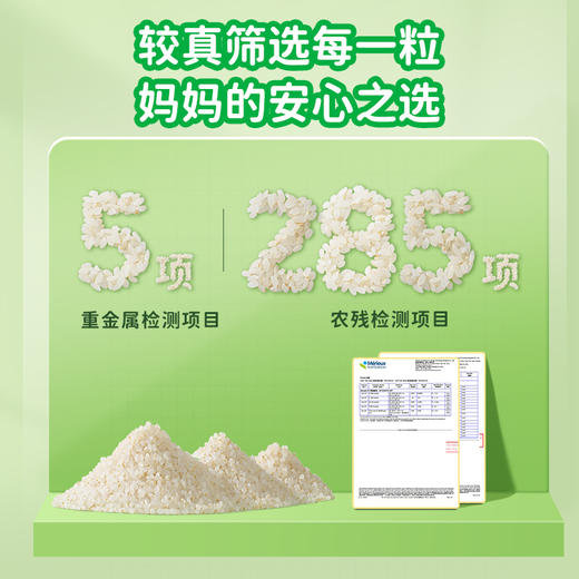 芽芽乐有机营养早餐破壁机粥米 商品图3