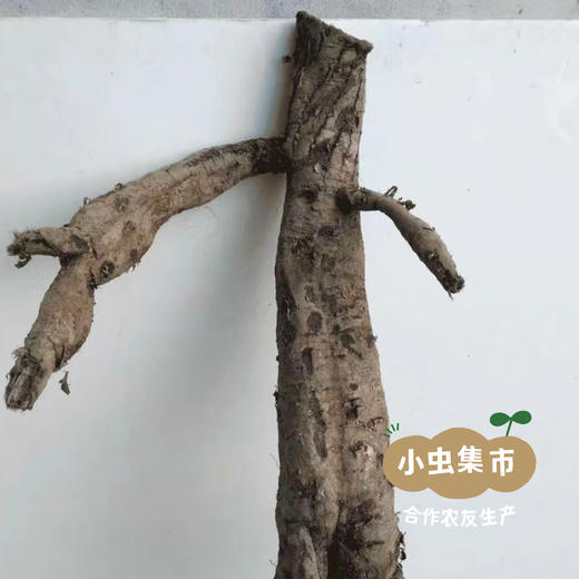 秦岭野生葛根丁 72g/袋 | 合作农友生产，产自陕西汉中秦岭，生产者：刘蜜书 ＆【公平贸易农人定价】 商品图8