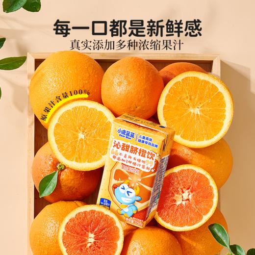 【新品上新】沁甜脐橙饮/125ml*12 商品图2