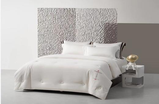 梦洁 亲柔A类抗菌大豆四季被：喜乐 商品图0