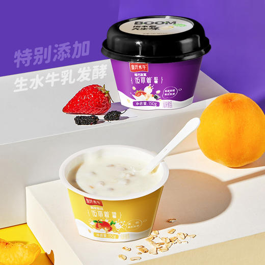 皇氏水牛 饭不着爆浆燕麦酸奶 150g*10 黄桃味  桑葚草莓味 商品图1