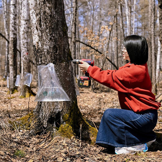 嘉桦浓缩桦树汁 滴滴珍贵 商品图3