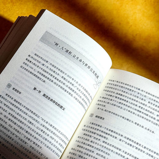 高品质学校课程体系 课程治理现代化丛书 王琦 特色课程建设 商品图10